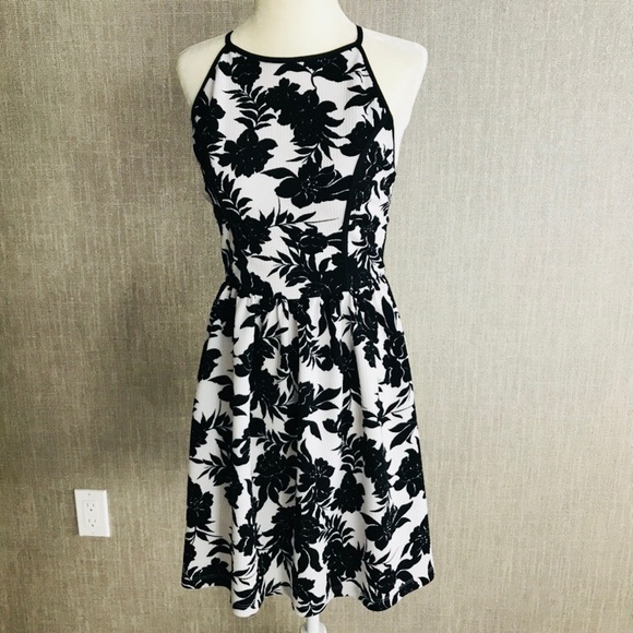 lord and taylor fit and flare dresses